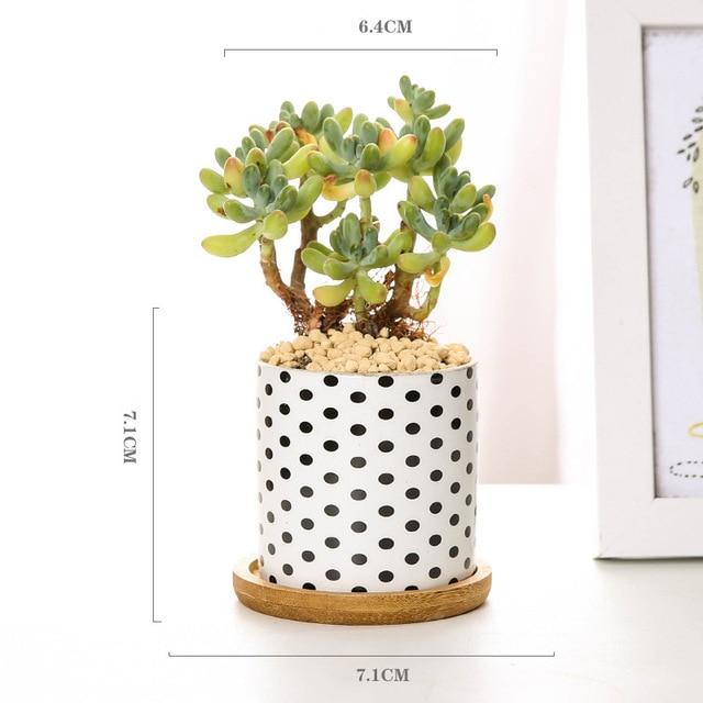 Aiva - Nordic Geometric Succulent Planter - Nordic Side - Modern Planters