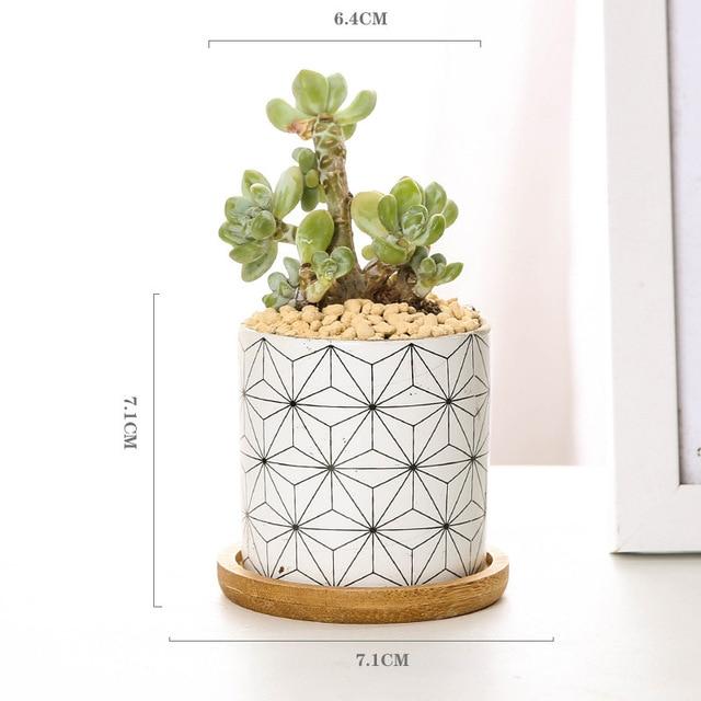 Aiva - Nordic Geometric Succulent Planter - Nordic Side - Modern Planters