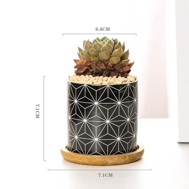 Aiva - Nordic Geometric Succulent Planter - Nordic Side - Modern Planters