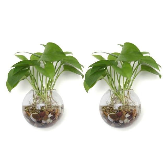 Wall Hanging Hydro Vases - Nordic Side - not-hanger, Plants, Wall Hanging