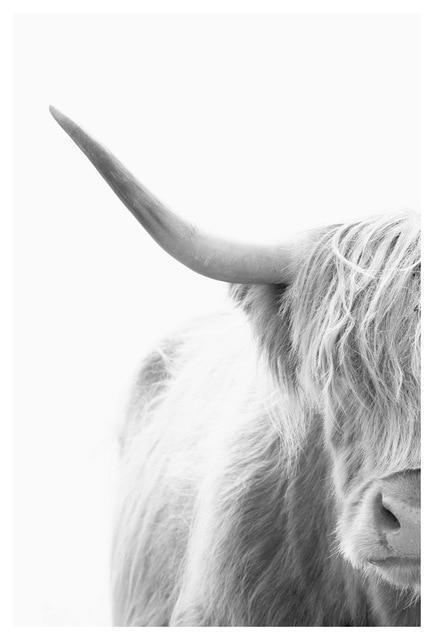 Nordic Mysterious Bull Print - Nordic Side - Art + Prints, not-hanger